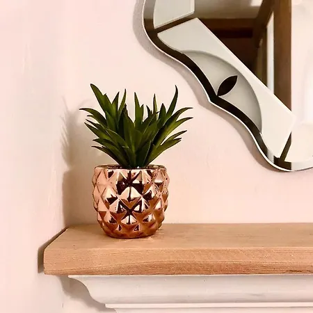 Apartment Loft Zona Historica Camino De Santiago *